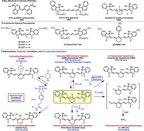 Cyanine polyene reactivity: scope and biomedical applications - Organic & Biomolecular Chemistry ...