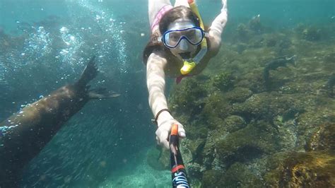 Galapagos Islands Epic Snorkeling HD - YouTube