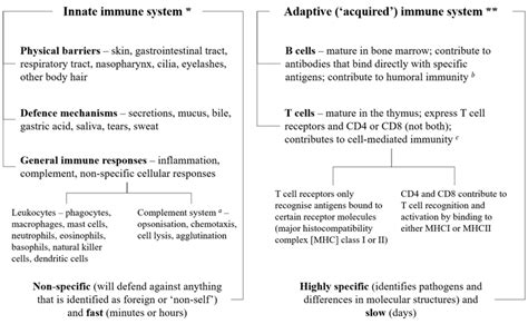 Simple overview of the immune system. The three layers of the immune ...