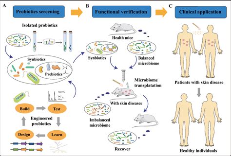 Human Skin Microbiome