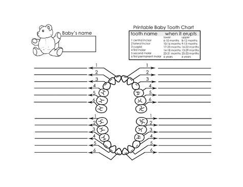 Printable Blank Tooth Chart