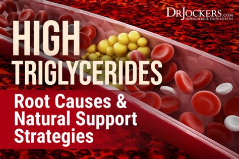 High Triglycerides: Root Causes and Natural Support Strategies