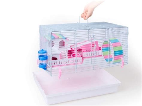 Best 6 Winter White Hamster Cages To Choose In 2022 Reviews