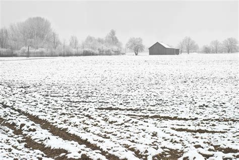 Winter Farming Royalty Free Stock Images - Image: 12190079