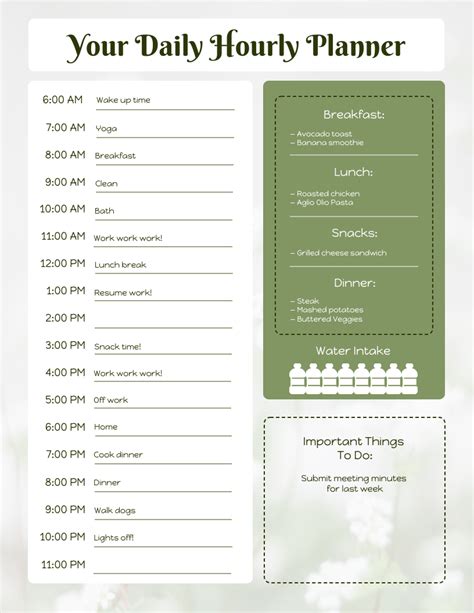 Daily Hourly Schedule Template - Venngage