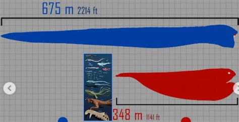 Subnautica fauna compared to the bloop and great Maja from Borisao ...