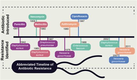 The good, the bad, and the superbad: the rise and fall of antibiotics ...