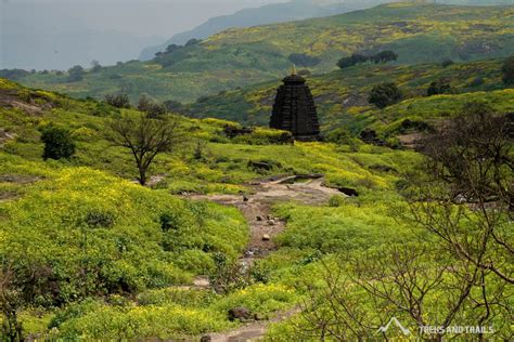 Camping Pune | Best Camping Destinations - Treks and Trails India