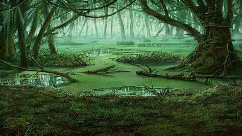 swamp scary forest photography studio background High quality Computer print wall photo backdrop ...