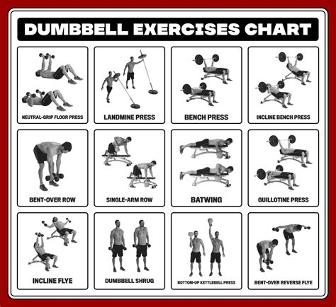 Dumbbell Workout Chart Printable - Printable Templates