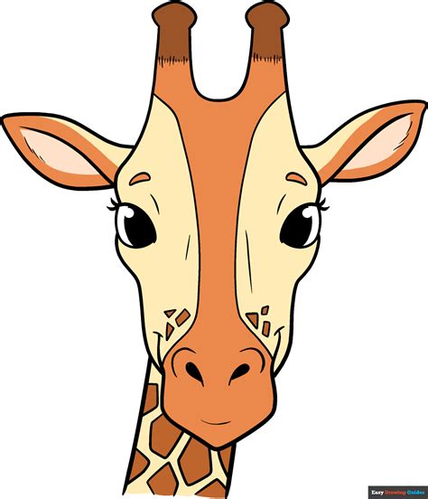 How to Draw a Giraffe Head and Face - Really Easy Drawing Tutorial