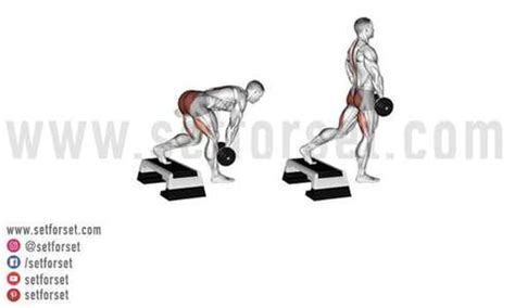 Single Leg Deadlift: How To, Benefits, & Variations - SET FOR SET