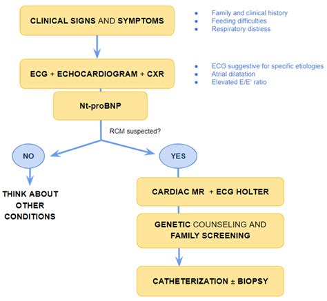 Paediatric Restrictive Cardiomyopathy | Encyclopedia MDPI