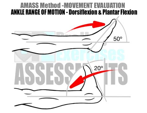 Basic Assessments and Movement Evaluations for Runners - Prehab Exercises