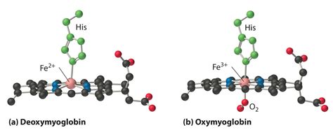 25.6: Applications of Coordination Compounds - Chemistry LibreTexts