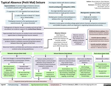 generalized-absence-seizures-petit-mal | Calgary Guide