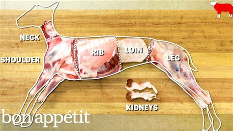 How to Butcher an Entire Lamb: Every Cut of Meat Explained | Handcrafted | Bon Appetit - YouTube