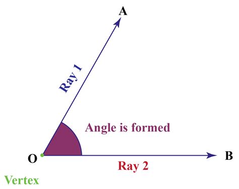 180 degree angle - How to measure and draw it - Cuemath