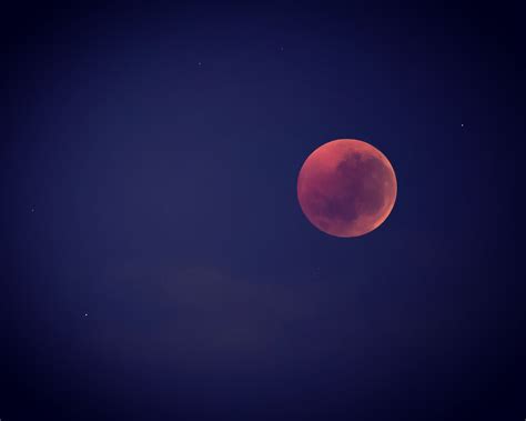 Blood moon from a while back. Blood Moon, High Quality Images, Cool Photos, Nature Photography ...