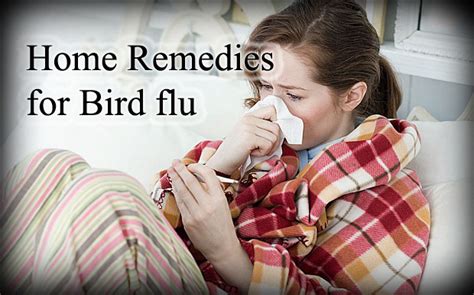 Top 7 Home Remedies For Bird Flu , Natural Remedies For Bird Flu ...