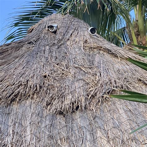 The tiki hut is always watching : r/facesinthings