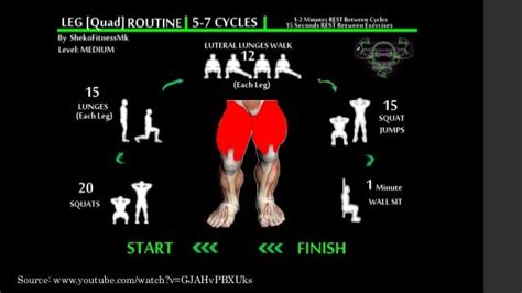 Best Calisthenics Leg Workout Routines