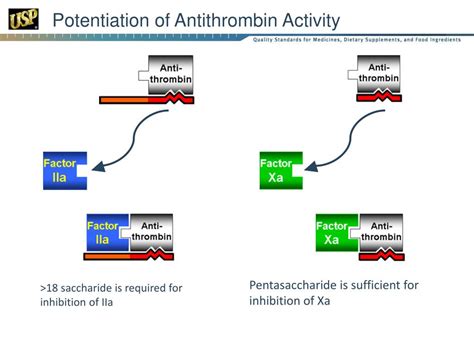 PPT - Biological Assays PowerPoint Presentation, free download - ID:2946199