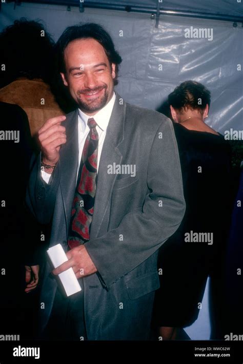 West Hollywood, California, USA 10th December 1994 Actor David Packer ...