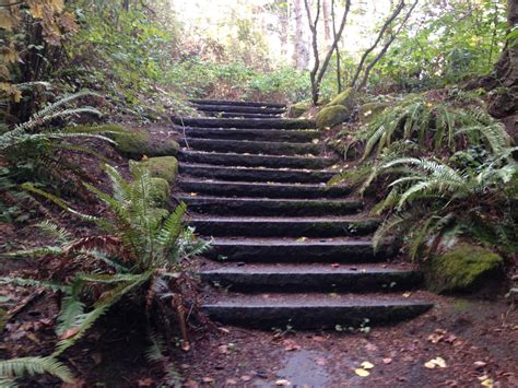 Bellingham Trails | Hikes near Bellingham in Whatcom County