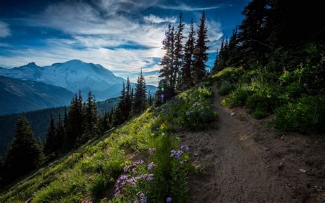 mountains, snow-capped peaks, forest Wallpaper, HD Nature 4K Wallpapers, Images and Background ...