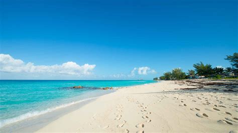 The BEST Bimini Tours & Things to Do 2022 - FREE Cancellation ...