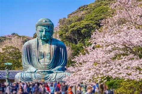 2024 3-Hours Walking Tour in Kamakura provided by 888TOUR