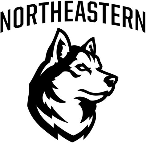 Northeastern men's, women's college hockey teams selected to represent ...