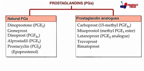 CLASSIFICATION OF PROSTAGLANDINS - Pharmacy Freak