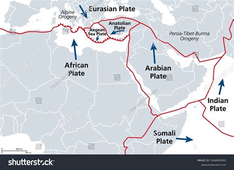 101 African Eurasian Plate Images, Stock Photos & Vectors | Shutterstock