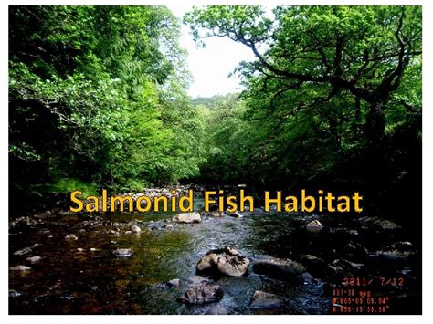 Salmonid Fish Habitat Applications of habitat data to