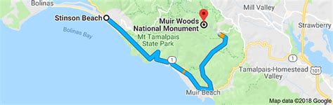 Explore Muir Woods, 20 minutes from Stinson Beach