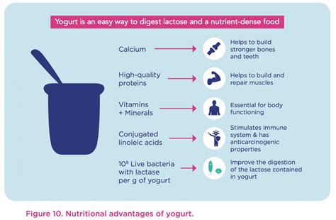 White book: the benefits of yogurt - Yogurt in Nutrition