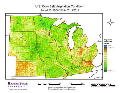 U.S. Corn Belt Vegetation Conditions – Early July