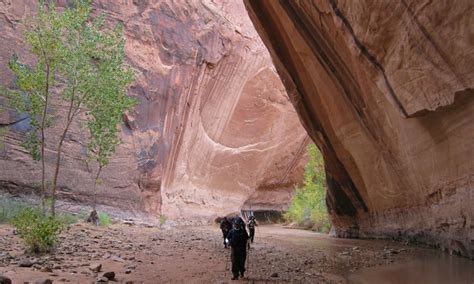 Escalante Hiking, Backpacking: Utah Grand Staircase - AllTrips