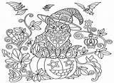 Printable Bat Coloring Pages  Free Coloring sketch template