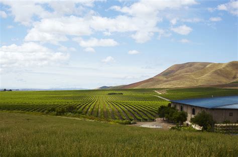 Cambria Estate Vineyards & Winery - Santa Barbara County Vintners