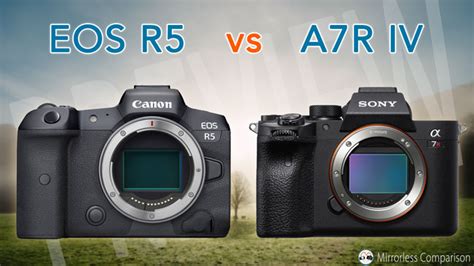 Canon EOS R5 vs Sony A7R IV - The 10 Main Differences - Mirrorless ...