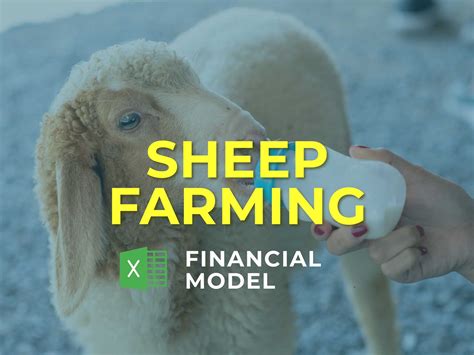 Maximize Profits: Transform Your Sheep Farming with a Financial Model