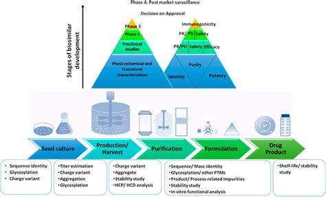 Frontiers | Analytical Similarity Assessment of Biosimilars: Global Regulatory Landscape, Recent ...