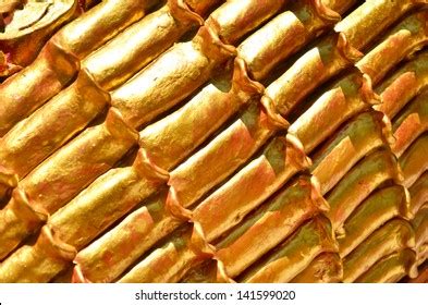 90 Dragon Skin Body Armor Images, Stock Photos & Vectors | Shutterstock