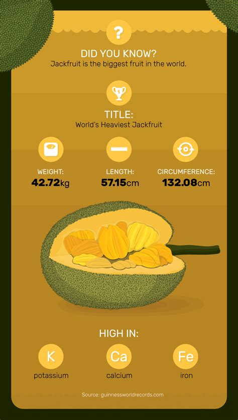 A Guide to Jackfruit | PartSelect.com