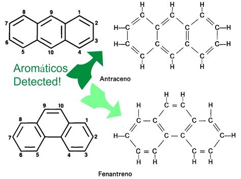 Hidrocarburos - Química Orgánica