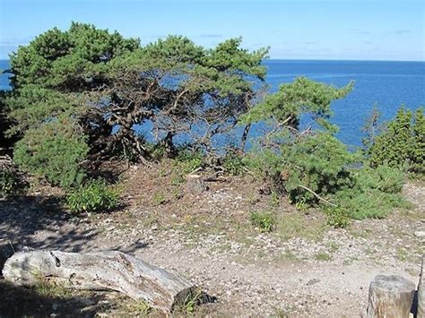Best nature reserves in Gotland — Naturkartan