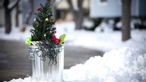 Montreal Christmas tree collection underway | CBC News